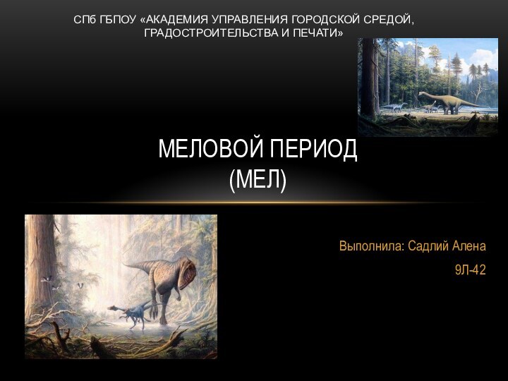 Выполнила: Садлий Алена9Л-42 МЕЛОВОЙ ПЕРИОД (МЕЛ)СПб ГБПОУ «АКАДЕМИЯ УПРАВЛЕНИЯ ГОРОДСКОЙ СРЕДОЙ, ГРАДОСТРОИТЕЛЬСТВА И ПЕЧАТИ»