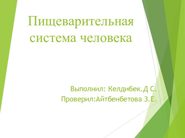 Пищеварительная система человекаВыполнил: Келдибек.Д С.Проверил:Айтбенбетова З.Е.