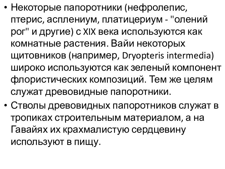 Некоторые папоротники (нефролепис, птерис, асплениум, платицериум - 