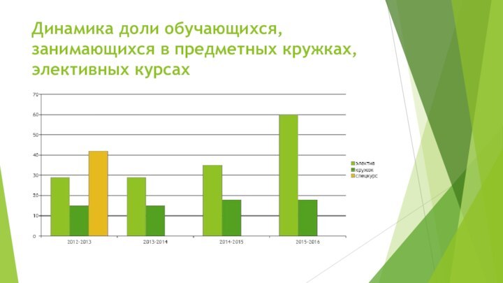 Динамика доли обучающихся, занимающихся в предметных кружках, элективных курсах