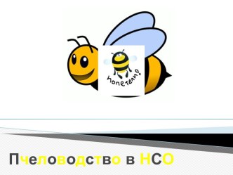 Пчеловодство в НСО