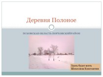 Деревня Полоное Порховского района Псковской области