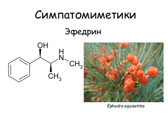 Симпатомиметики. Эфедрин