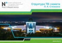 Структура ТВ-сюжета. Структурные элементы сюжета