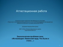 Аттестационная работа. Экологическая проблема села