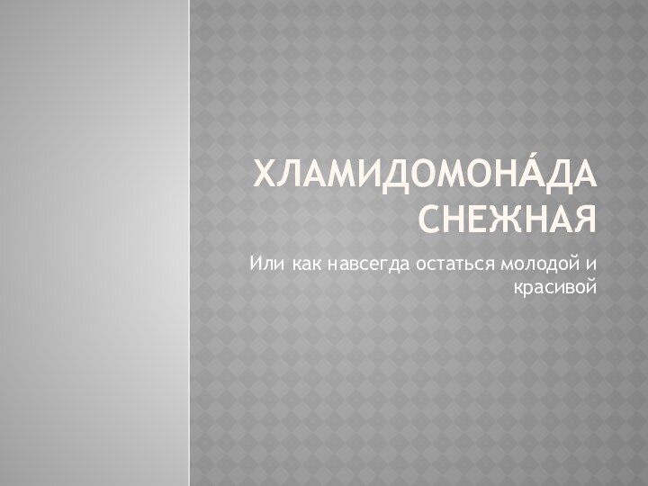 ХЛАМИДОМОНА́ДА СНЕЖНАЯИли как навсегда остаться молодой и красивой