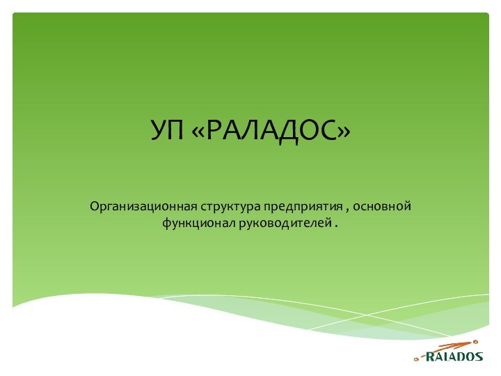 УП «РАЛАДОС» Организационная структура предприятия , основной функционал руководителей .