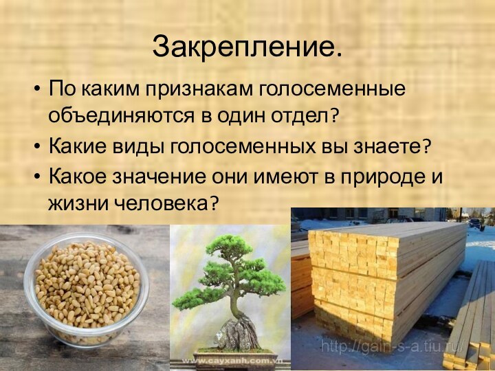 Закрепление.По каким признакам голосеменные объединяются в один отдел?Какие виды голосеменных вы знаете?Какое