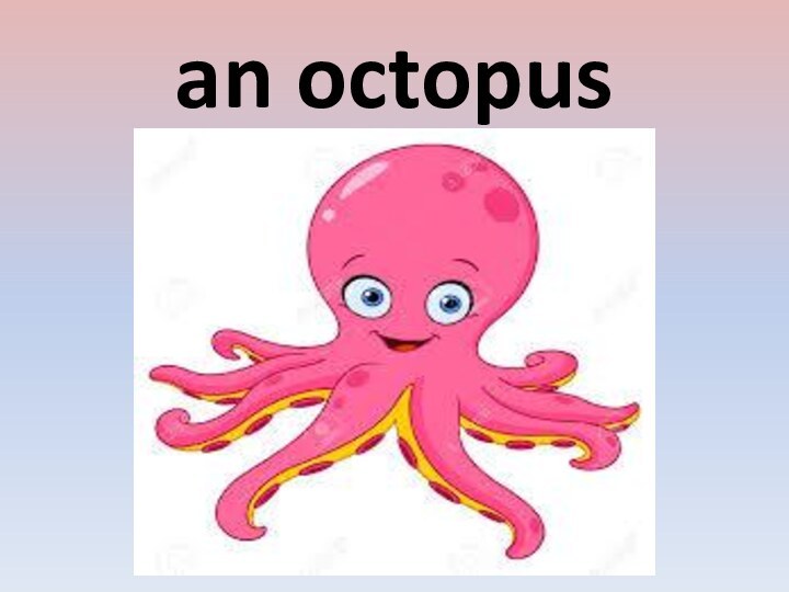 an octopus