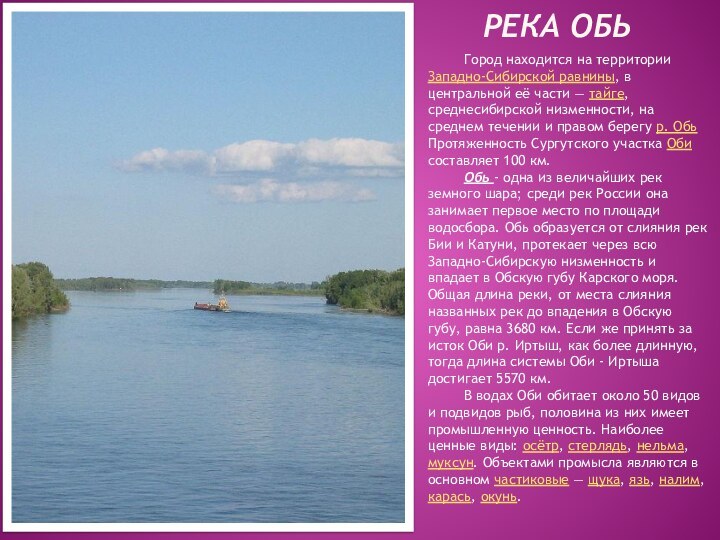 РЕКА ОБЬ	Город находится на территории Западно-Сибирской равнины, в центральной её части — тайге,