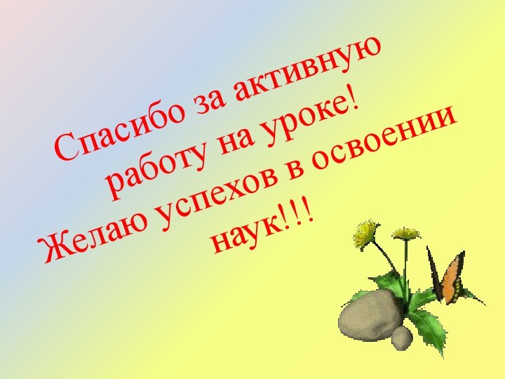 Спасибо за активную работу на уроке! Желаю успехов в освоении наук!!!