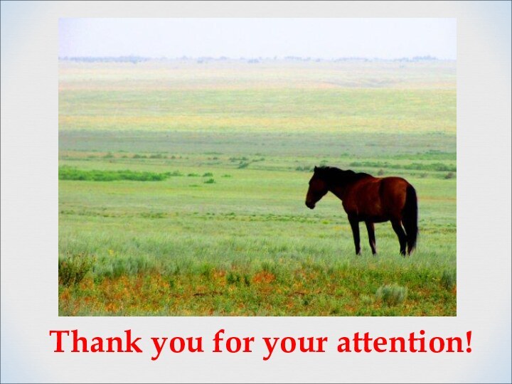 Thank you for your attention!