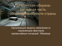 Гражданская оборона. Обороноспособность страны