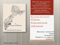 Вулканы Камчатки. Южно-Камчатский заказник