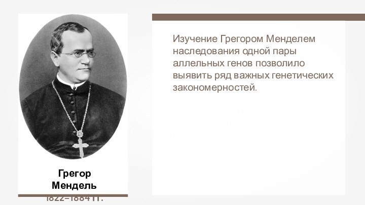 Грегор Мендель1822–1884 гг.Изучение Грегором Менделем наследования одной пары аллельных генов позволило выявить