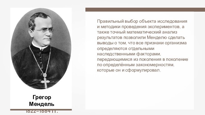 Грегор Мендель1822–1884 гг.Правильный выбор объекта исследования и методики проведения экспериментов, а также