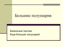 Большие полушария. Базальные ганглии. Кора больших полушарий