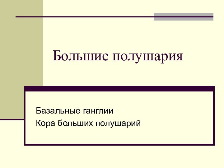 Большие полушарияБазальные ганглииКора больших полушарий