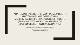 Анатомия тазового дна и промежности, анатомические ориентиры. Мышцы тазового дна: их особенности