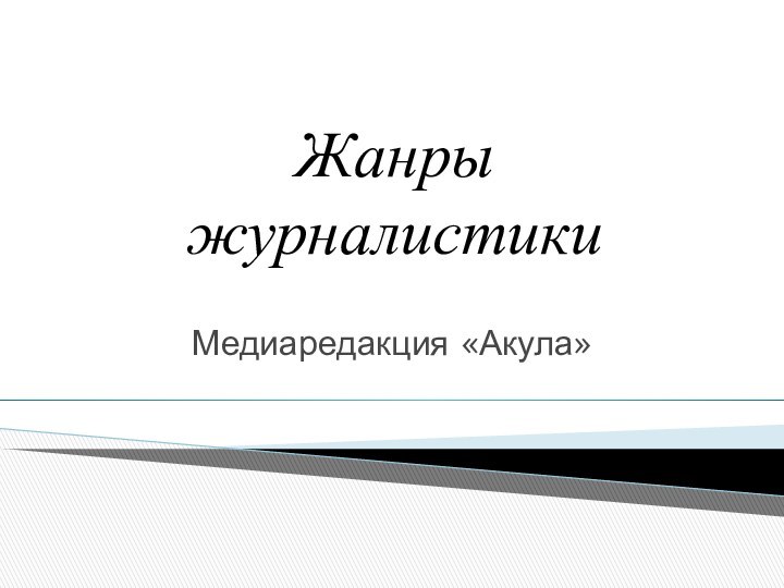 Жанры журналистикиМедиаредакция «Акула»