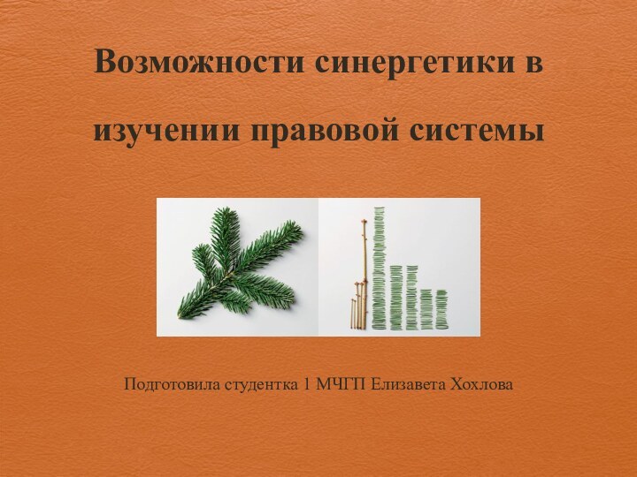 Возможности синергетики в изучении правовой системы Подготовила студентка 1 МЧГП Елизавета Хохлова