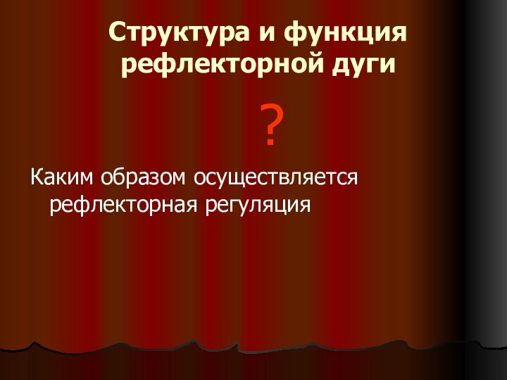 Структура и функция рефлекторной дуги       ?