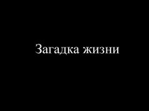 Гипотезы возникновения жизни на планете Земля