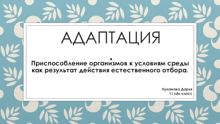 АДАПТАЦИЯ.Лупанова Дарья 11 «А» классПриспособление организмов к условиям среды как результат действия естественного отбора.