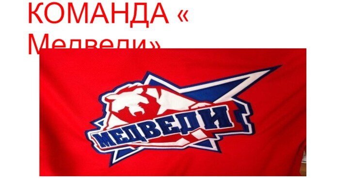 КОМАНДА « Медведи»