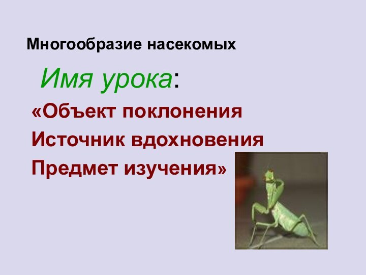 Многообразие насекомых  Имя урока:  «Объект поклоненияИсточник вдохновенияПредмет изучения»