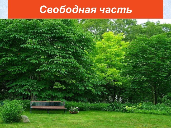 Свободная часть