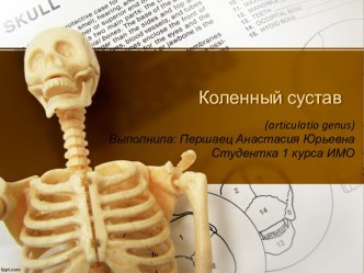 Коленный сустав