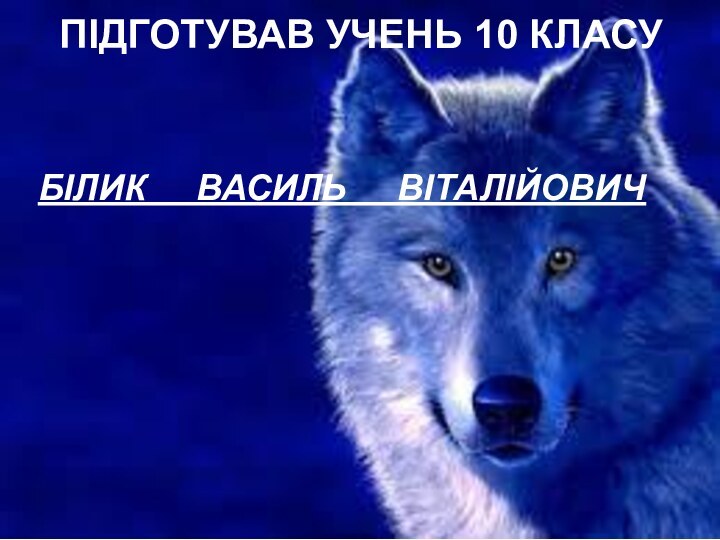 ПІДГОТУВАВ УЧЕНЬ 10 КЛАСУБІЛИК   ВАСИЛЬ   ВІТАЛІЙОВИЧ