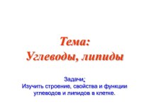 Строение, свойства и функции углеводов и липидов в клетке