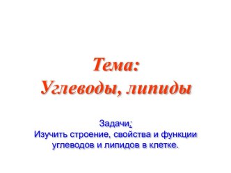 Строение, свойства и функции углеводов и липидов в клетке