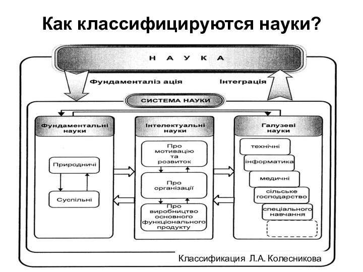 Как классифицируются науки?Классификация Л.А. Колесникова