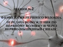 Физиология нервного волокна. Лекция № 2. Передача возбуждения по нервному волокну и через нервно-мышечный синапс