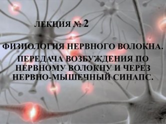 Физиология нервного волокна. Лекция № 2. Передача возбуждения по нервному волокну и через нервно-мышечный синапс