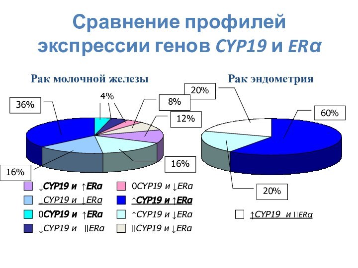 Сравнение профилей экспрессии генов CYP19 и ERαРак молочной железыРак эндометрия60%20%20% ↑CYP19 и