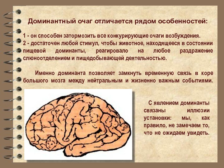 Доминантный очаг отличается рядом особенностей: 1 - он способен затормозить все конкурирующие