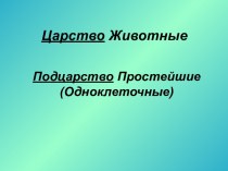 Царство Животные Подцарство Простейшие (Одноклеточные)