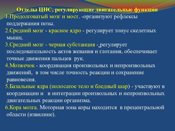 Отделы ЦНС, регулирующие двигательные функцииПродолговатый мозг и мост. -организуют рефлексы поддержания позы.Средний