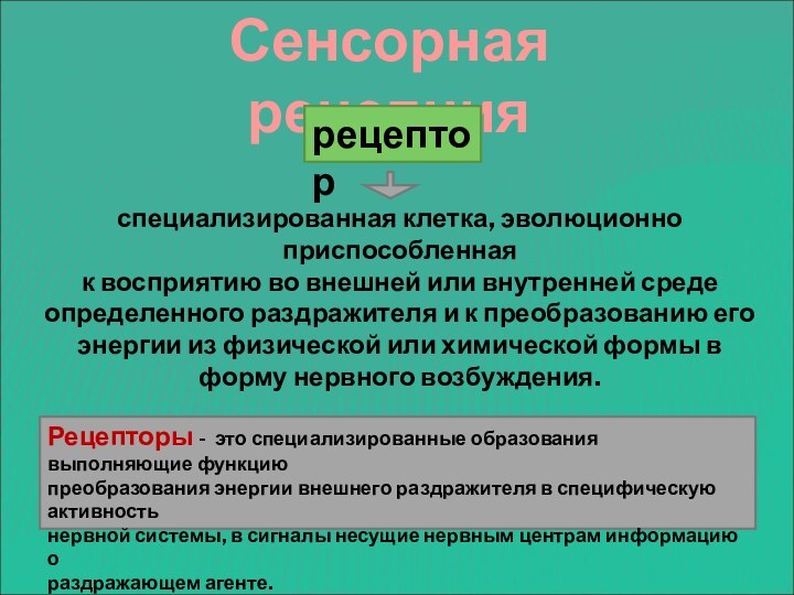 Сенсорная рецепциярецепторспециализированная клетка, эволюционно приспособленнаяк восприятию во внешней или внутренней средеопределенного раздражителя