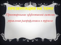 Проектирование эффективной системы управления распределением в туризме