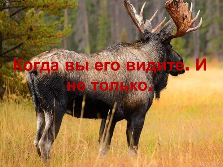 Когда вы его видите. И не только.