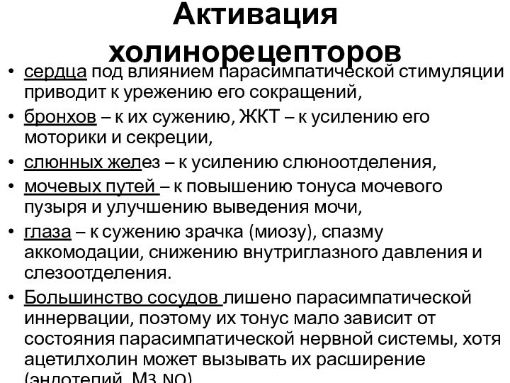 Активация холинорецепторовсердца под влиянием парасимпатической стимуляции приводит к урежению его сокращений, бронхов