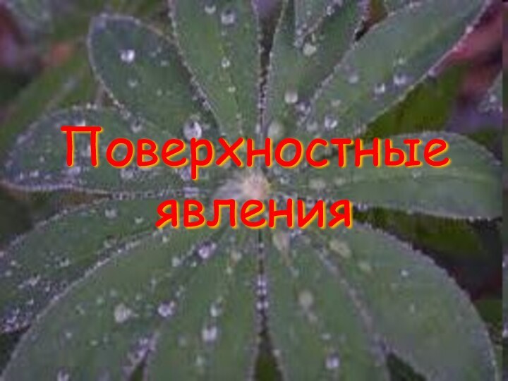 Поверхностные явления