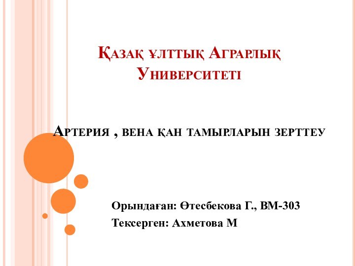 Қазақ ұлттық Аграрлық Университеті   Артерия , вена қан тамырларын зерттеуОрындаған: