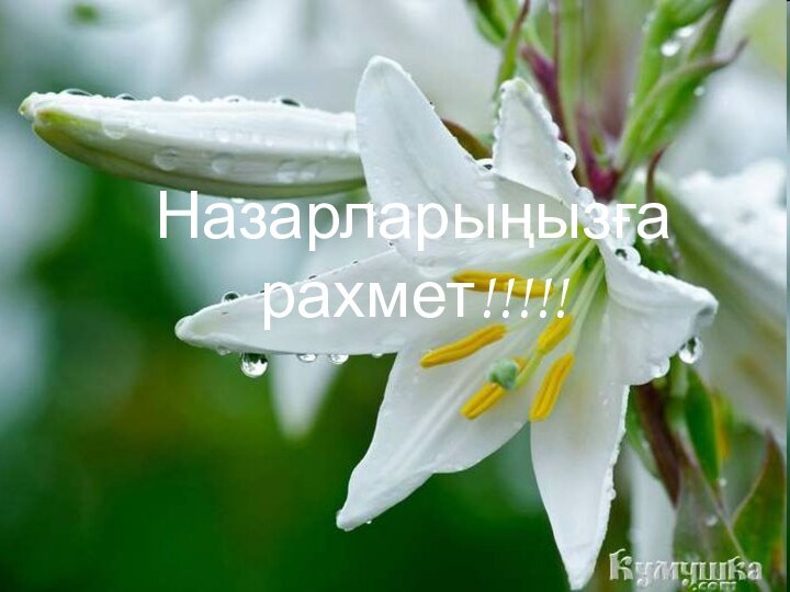 Назарларыңызға рахмет!!!!!