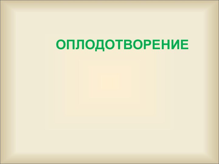 ОПЛОДОТВОРЕНИЕ